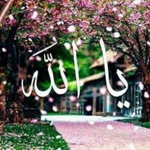 Meet your Posher, Samiha